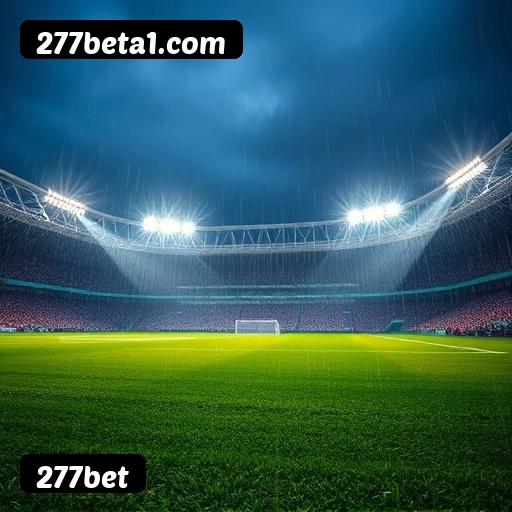 Níveis do programa VIP da 277bet